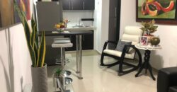 ARRIENDO APTO AMOBLADO